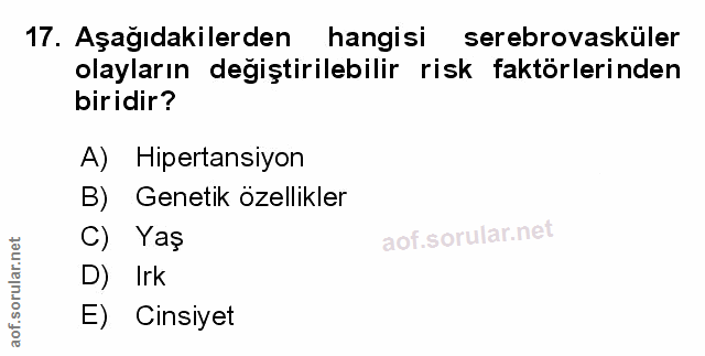 Soru 17