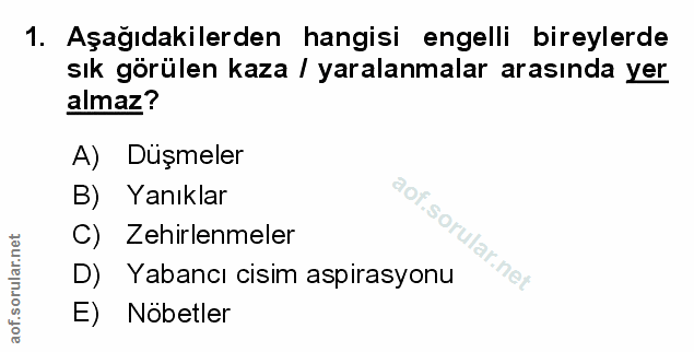 Soru 1