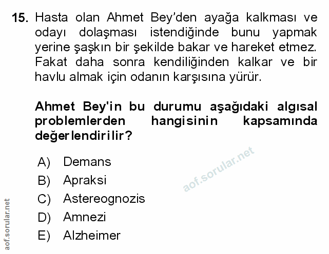 Soru 15