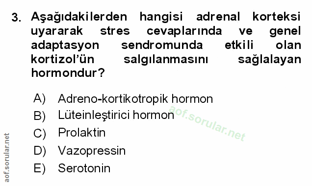 Soru 3