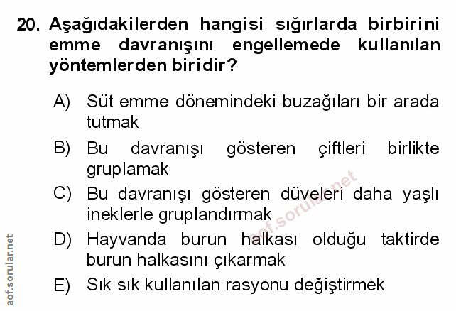 Soru 20
