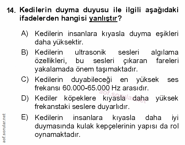 Soru 14