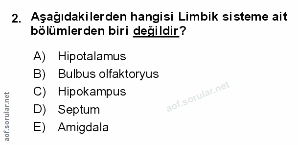 Soru 2