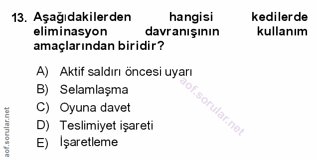 Soru 13