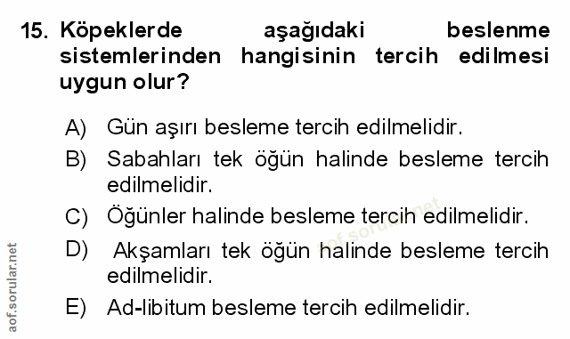 Soru 15