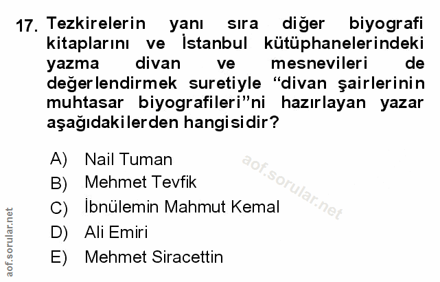 Soru 17