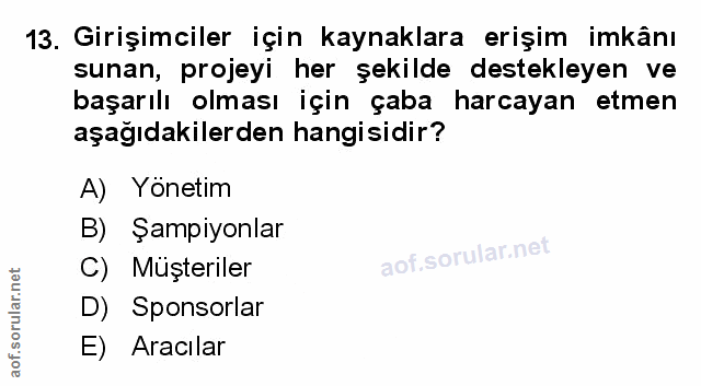 Soru 13