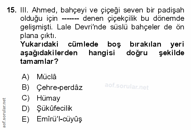 Soru 15