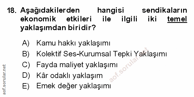 Soru 18