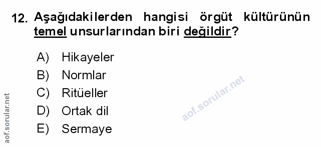 Soru 12