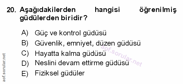 Soru 20