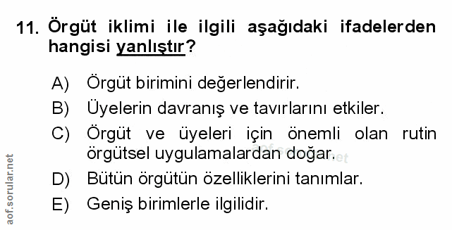 Soru 11