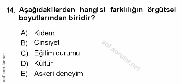 Soru 14