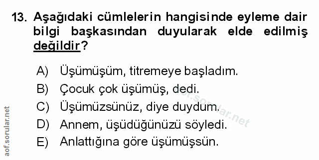 Soru 13