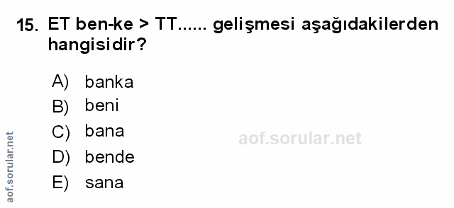 Soru 15