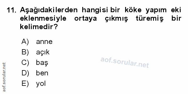 Soru 11