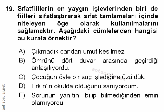 Soru 19