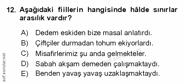 Soru 12