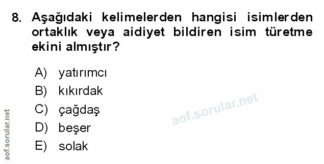 Soru 8