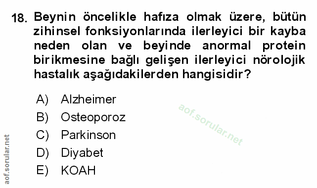 Soru 18