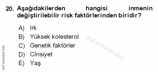 Soru 20