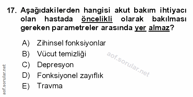 Soru 17