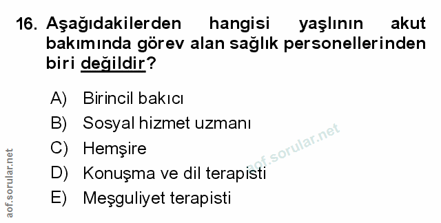 Soru 16