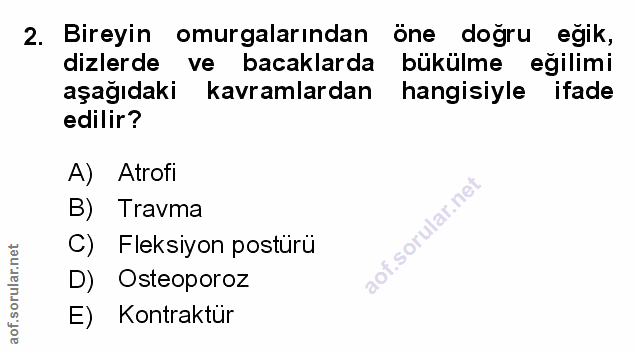 Soru 2