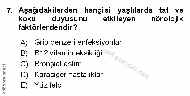 Soru 7