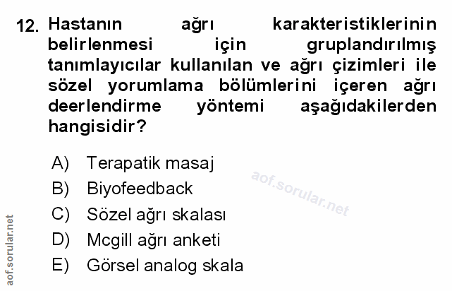 Soru 12