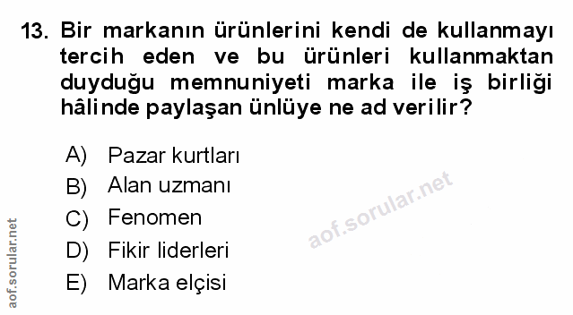 Soru 13