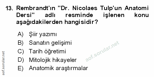 Soru 13