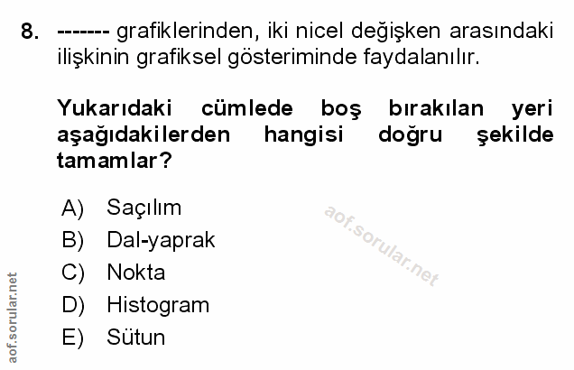 Soru 8