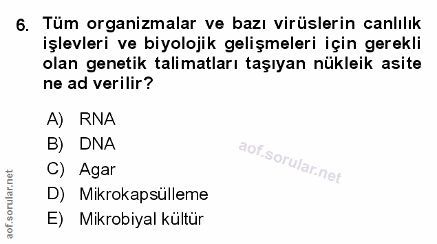 Soru 6