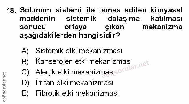 Soru 18