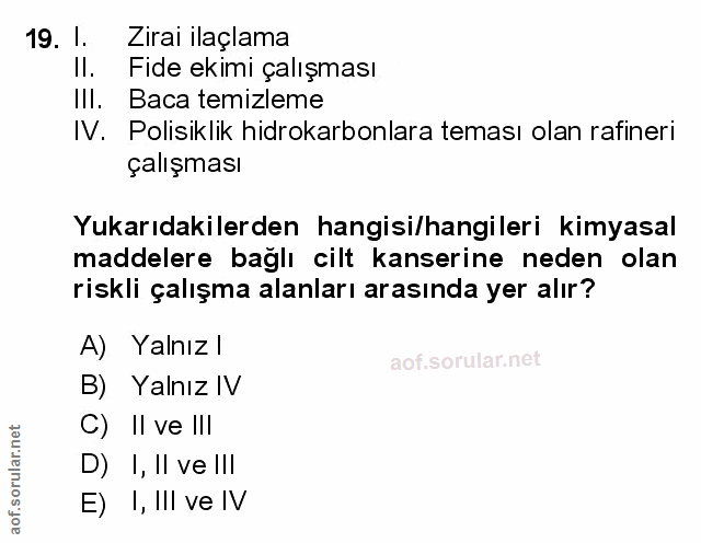 Soru 19