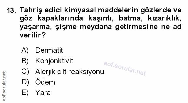 Soru 13