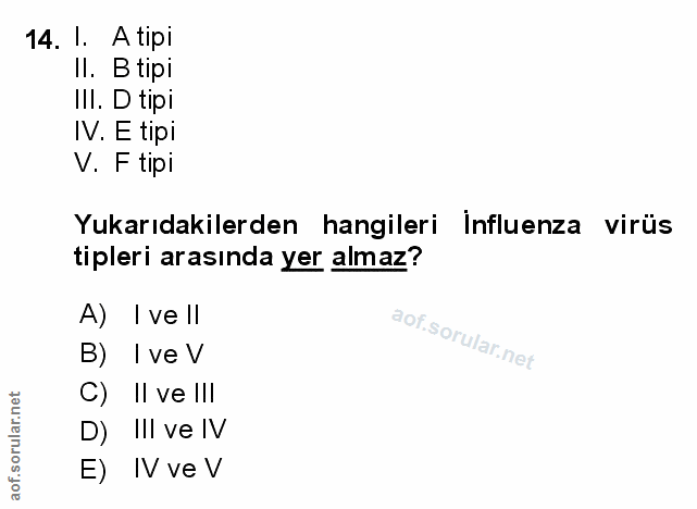 Soru 14