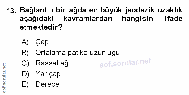 Soru 13