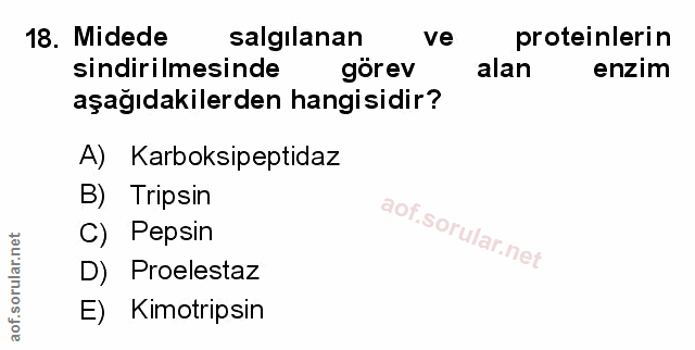 Soru 18
