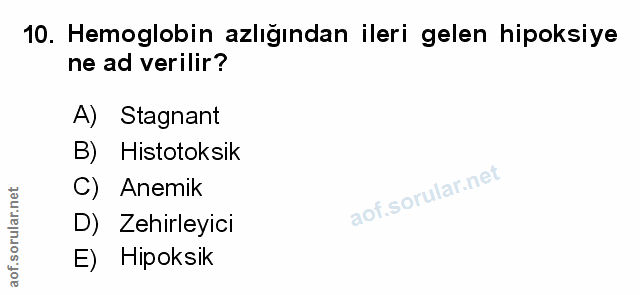 Soru 10
