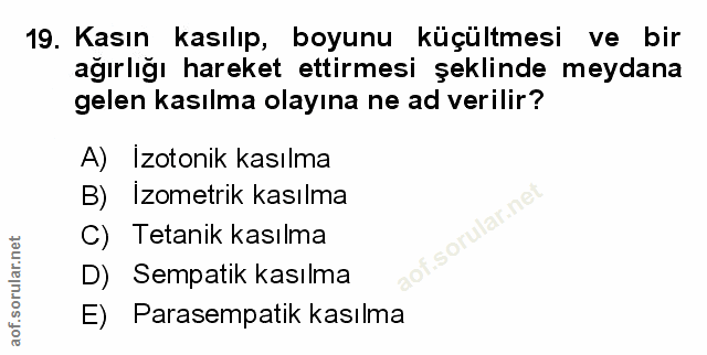 Soru 19