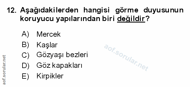 Soru 12