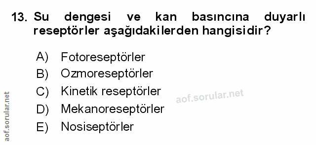 Soru 13