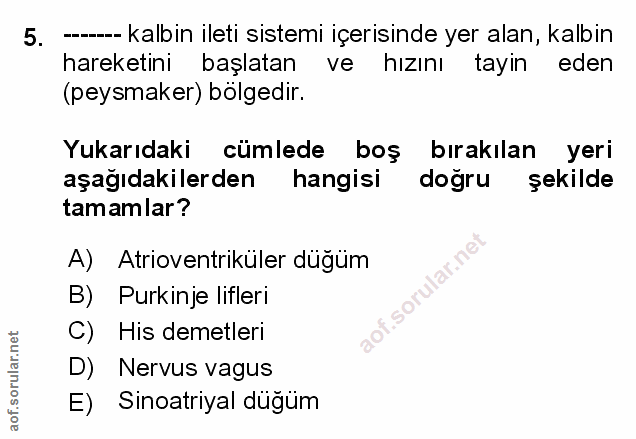 Soru 5