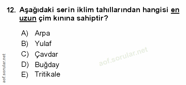 Soru 12