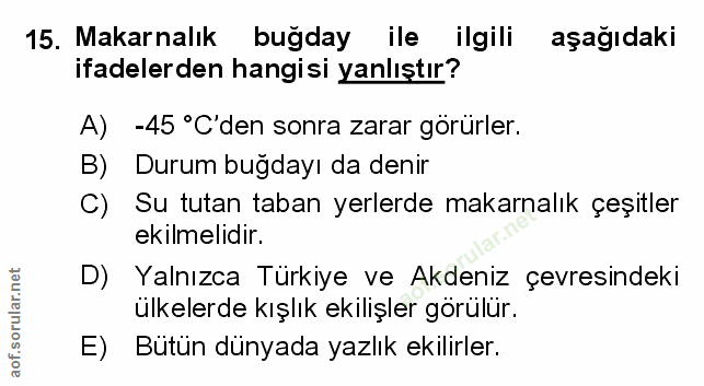 Soru 15