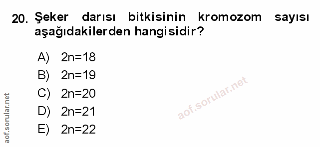 Soru 20