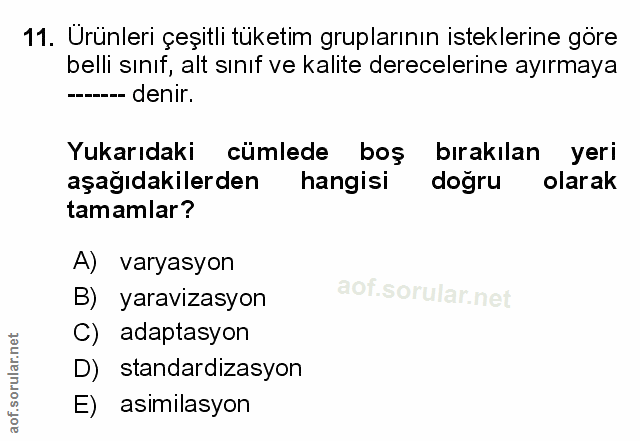 Soru 11