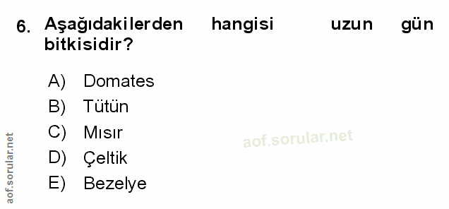 Soru 6